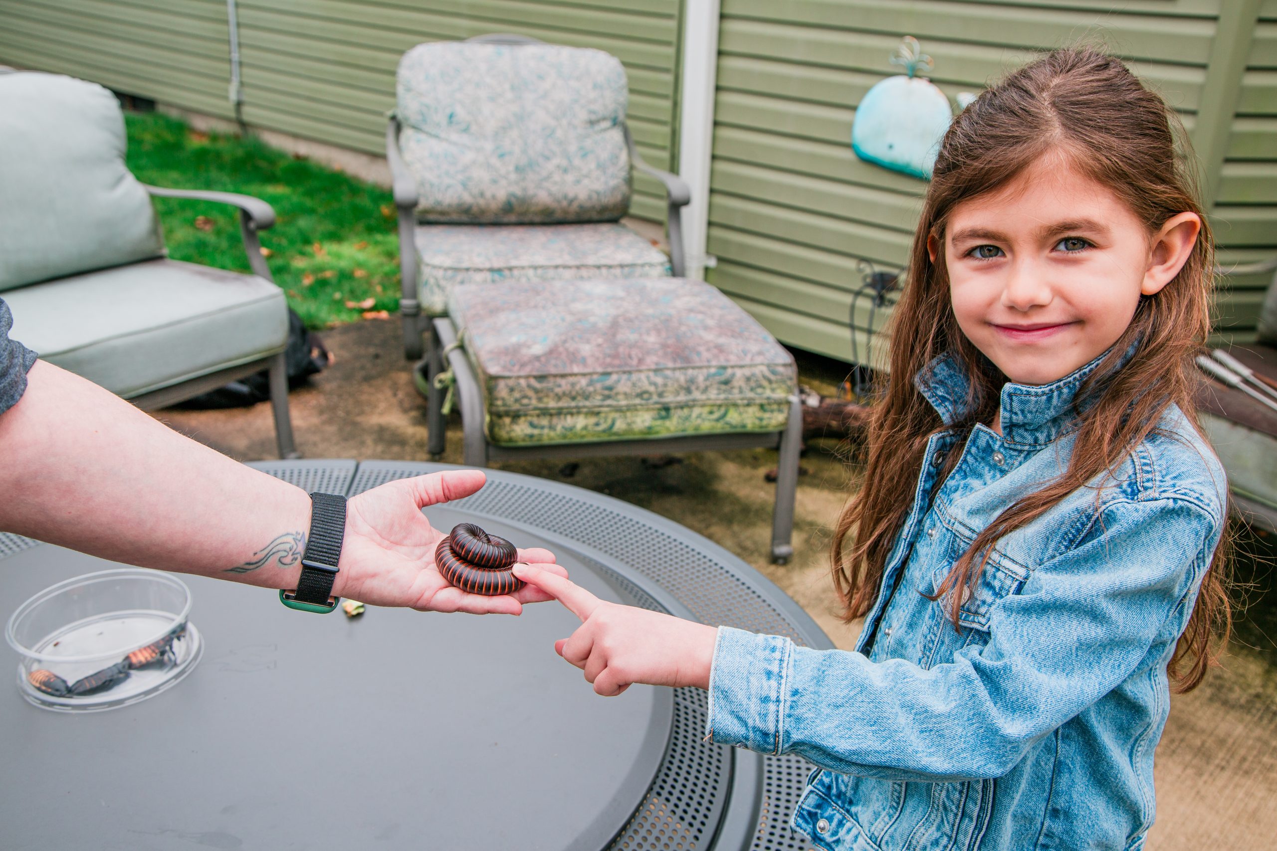 1K0A5384 Melissa's Yard Long Island