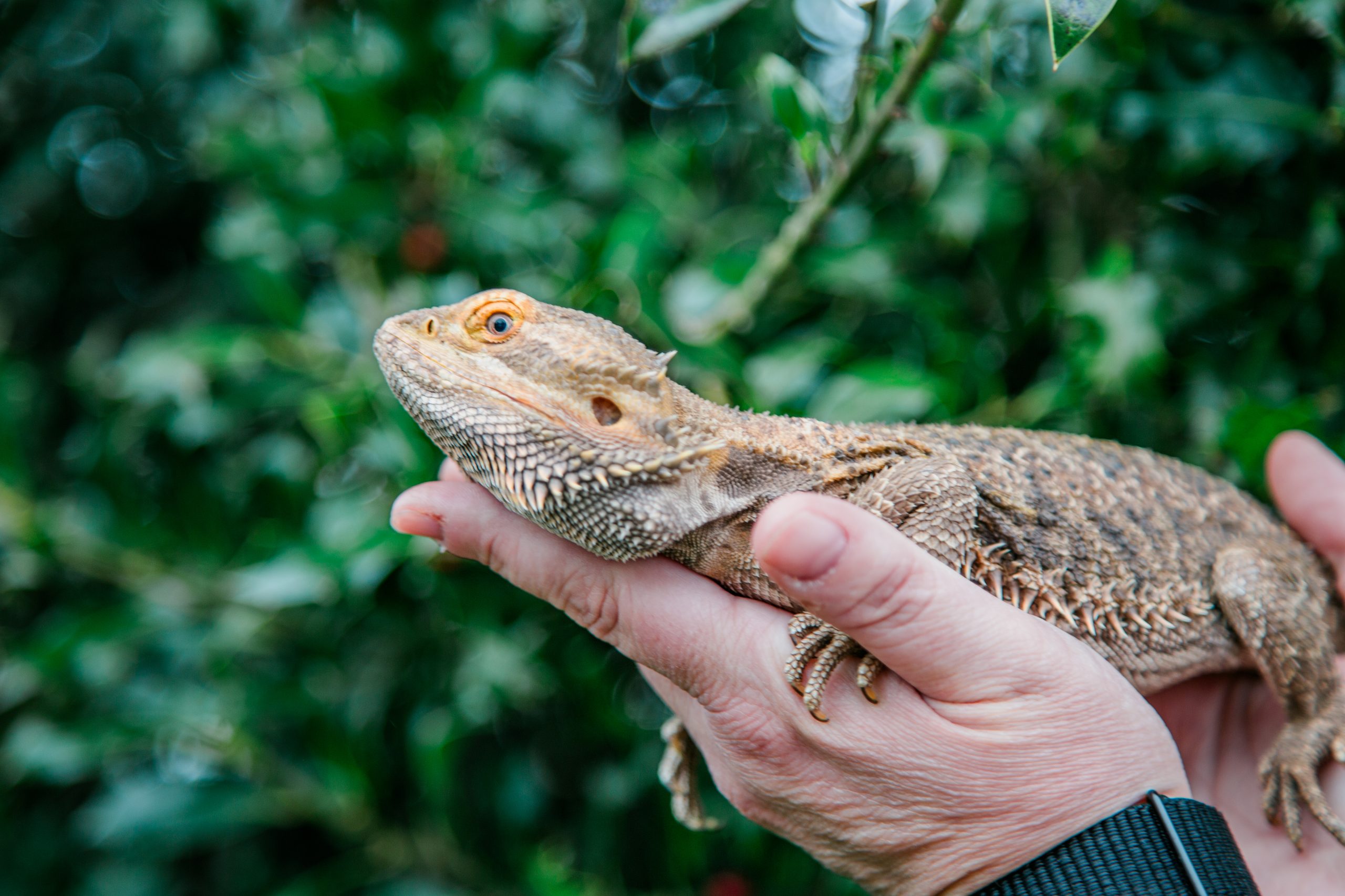 1K0A5615 Melissa's Yard